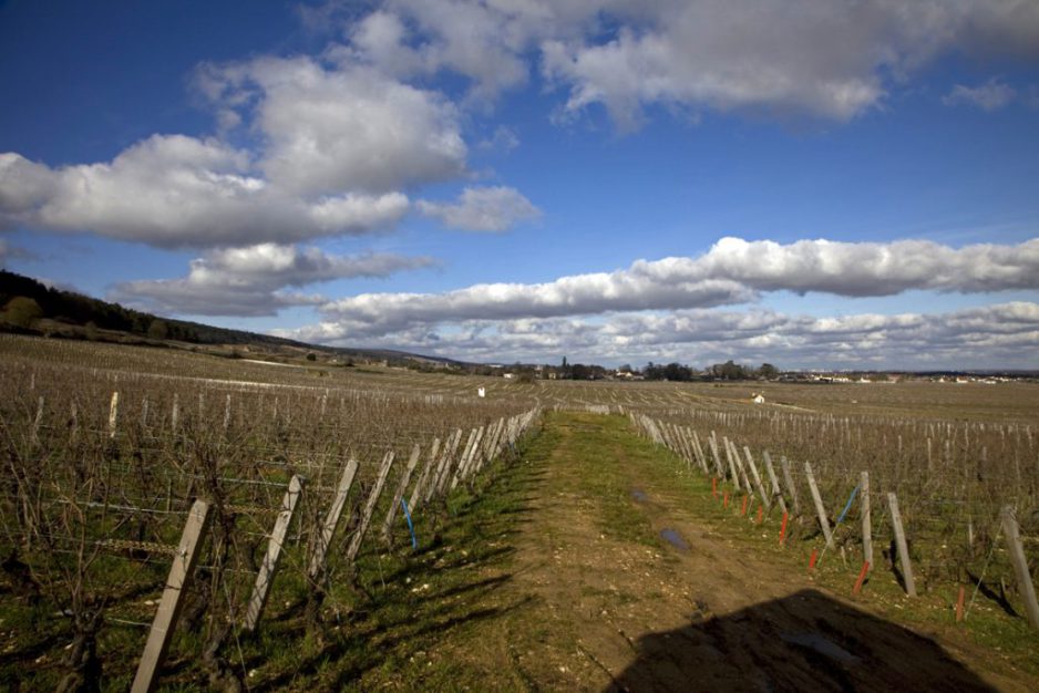 One day in february 2020