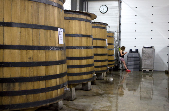 – 2014 Vinification