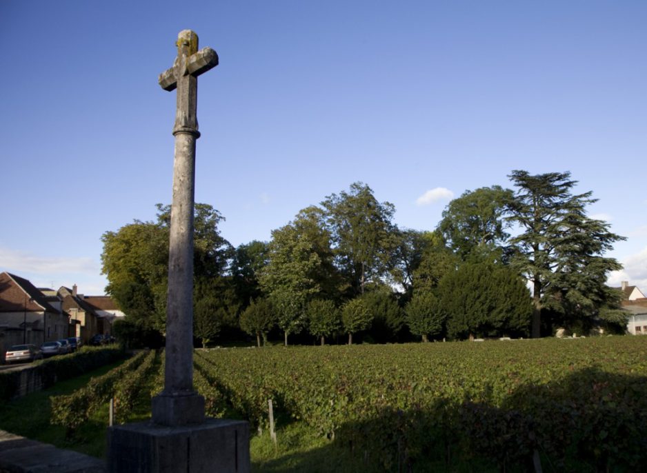 Yannick Champ : about 2014 vintage