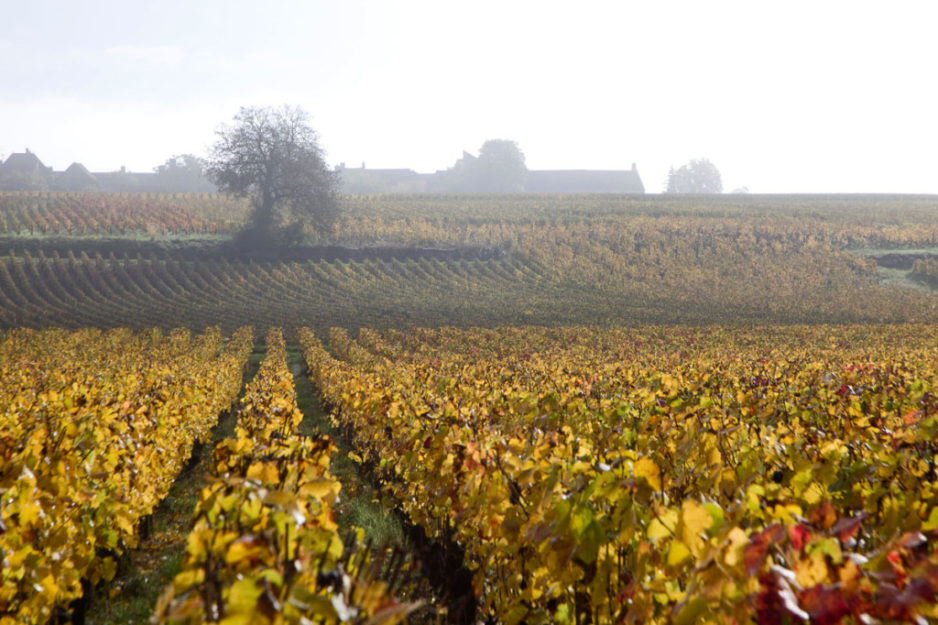La tâche d’Arnaud