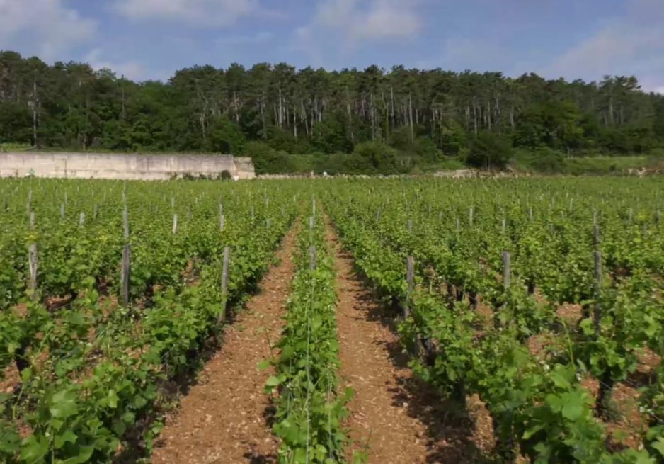 2020 qui s&rsquo;annonce, par Laurent Mottey