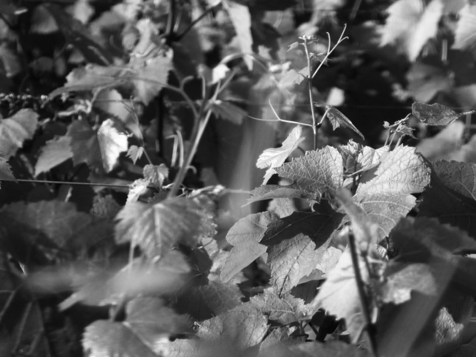 2016 : an awful april