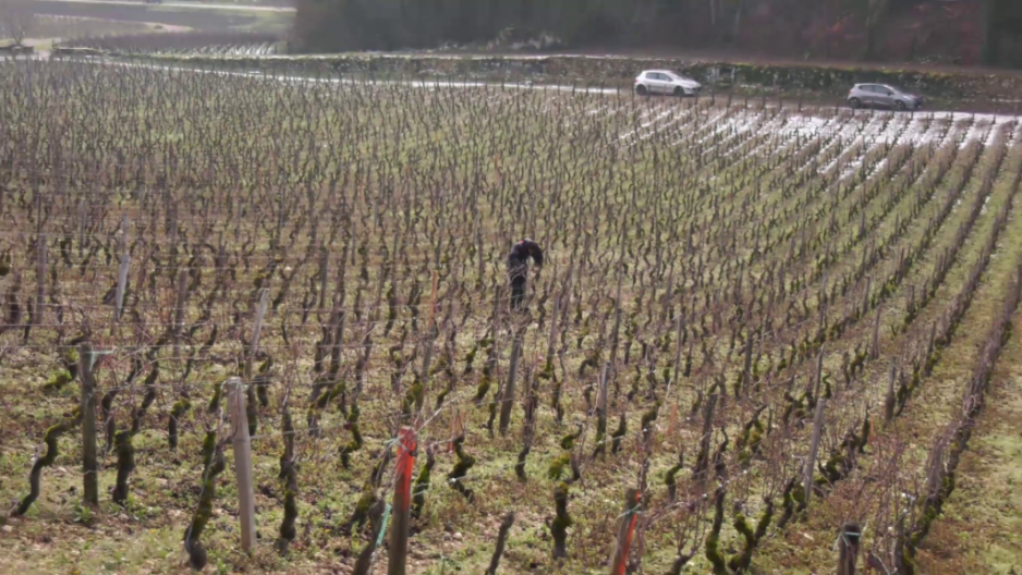 Mélanie Trapet à la tâche des Varoilles