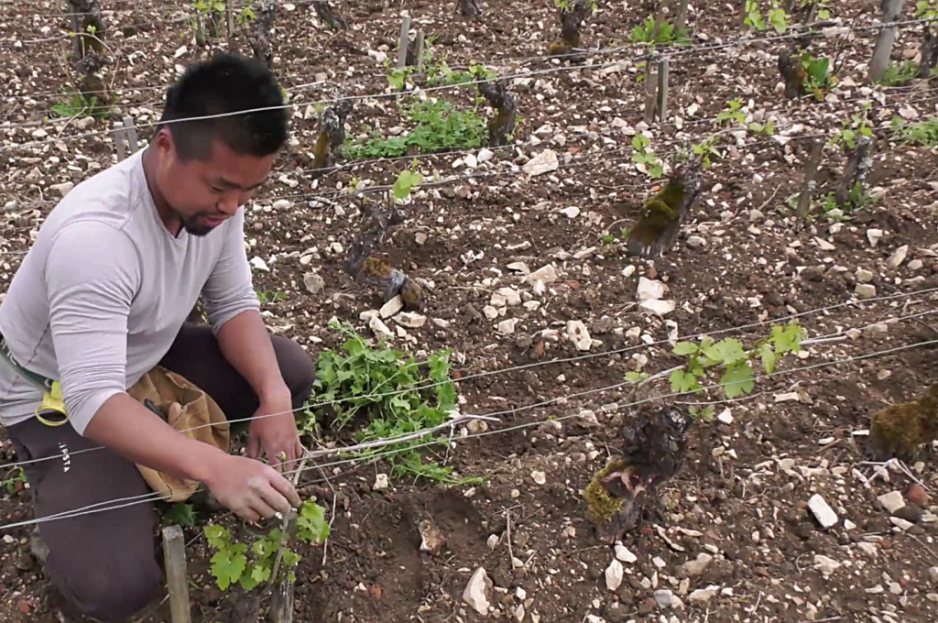 Genki un stagiaire japonais au Domaine