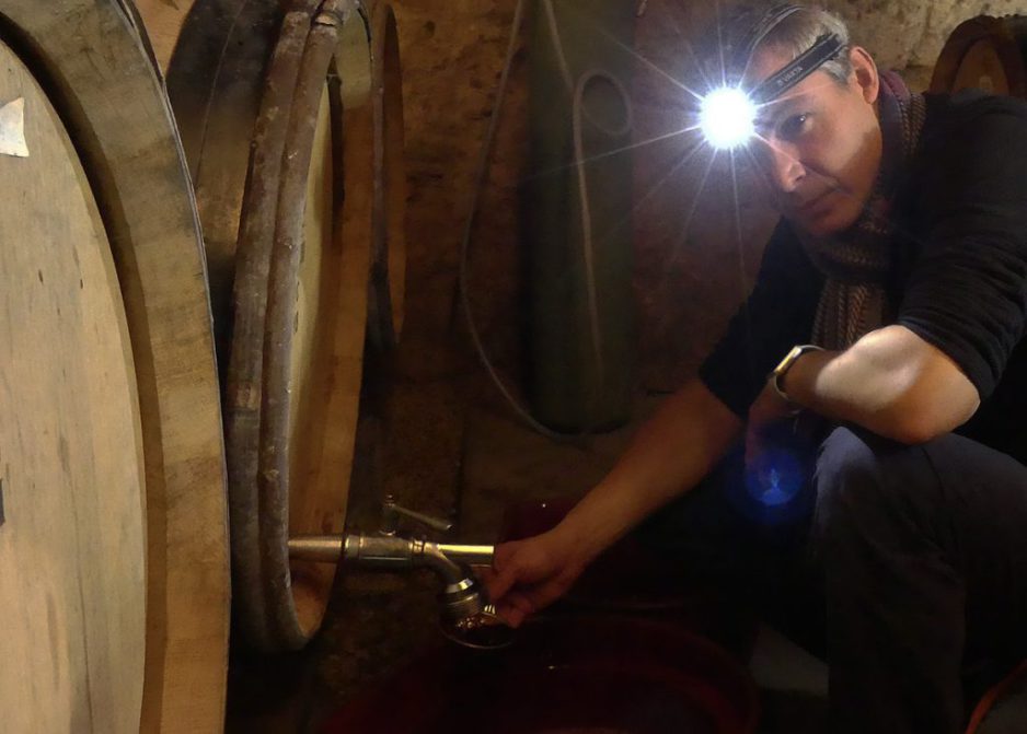 About millésime 2019, by Yannick Champ