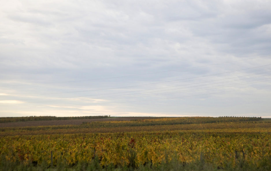 GLAPIGNY BONCOURT