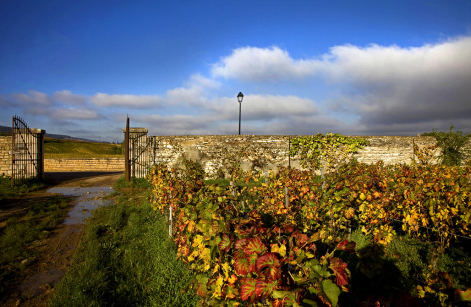 CLOS DE VOUGEOT