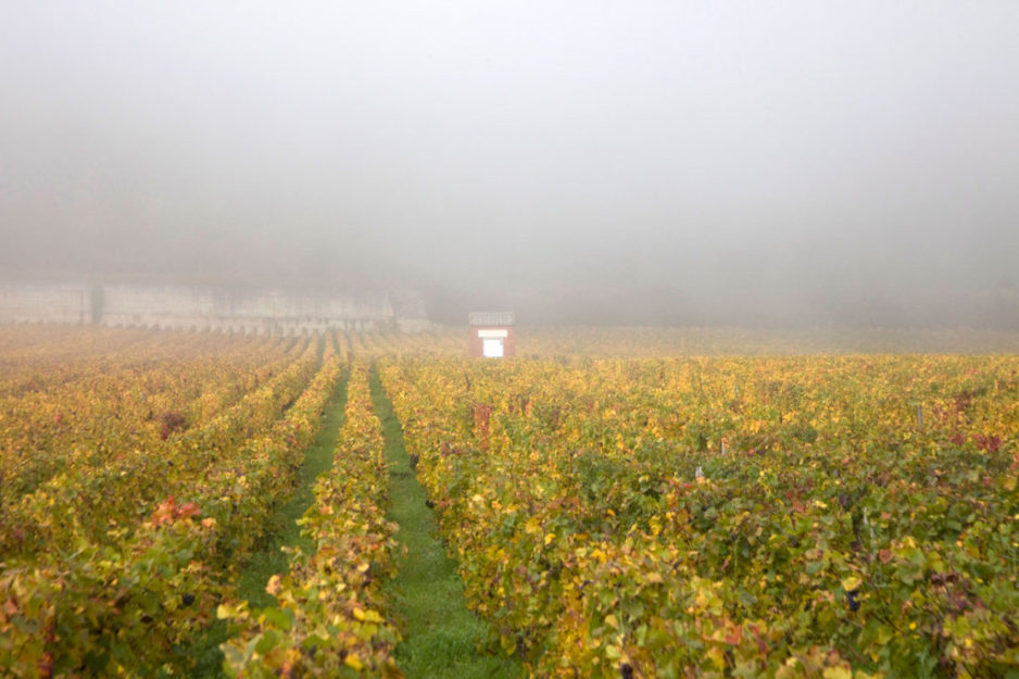 CLOS DE BÈZE