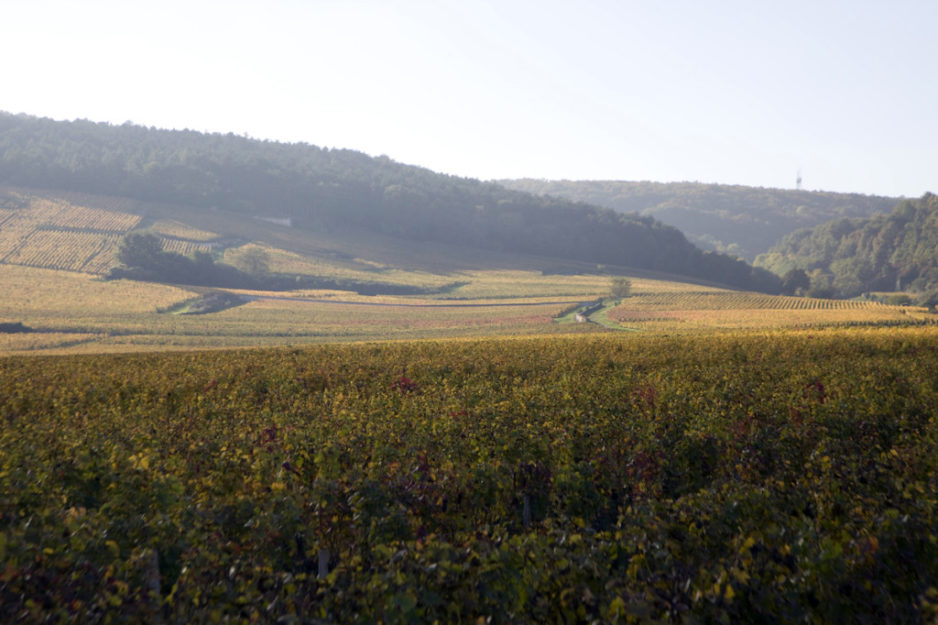 LES HAUTES MAIZIÈRES